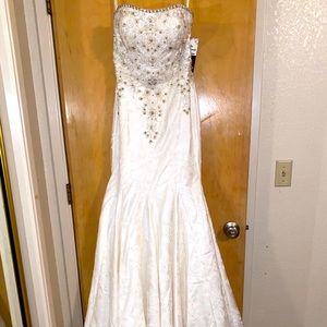 Wedding Gown & Veil